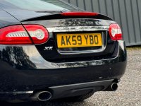 JAGUAR XK